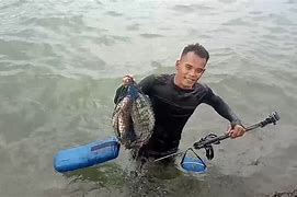 Trik Nembak Ikan Jitu